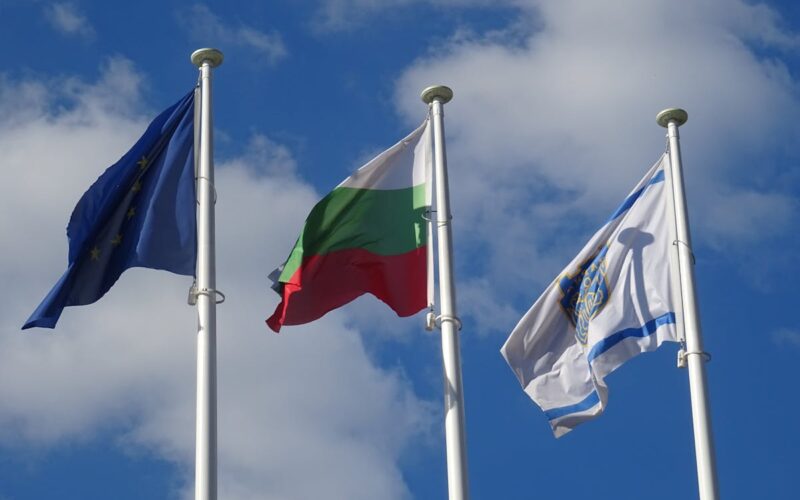 ¿Qué organismos luchan contra la corrupción?