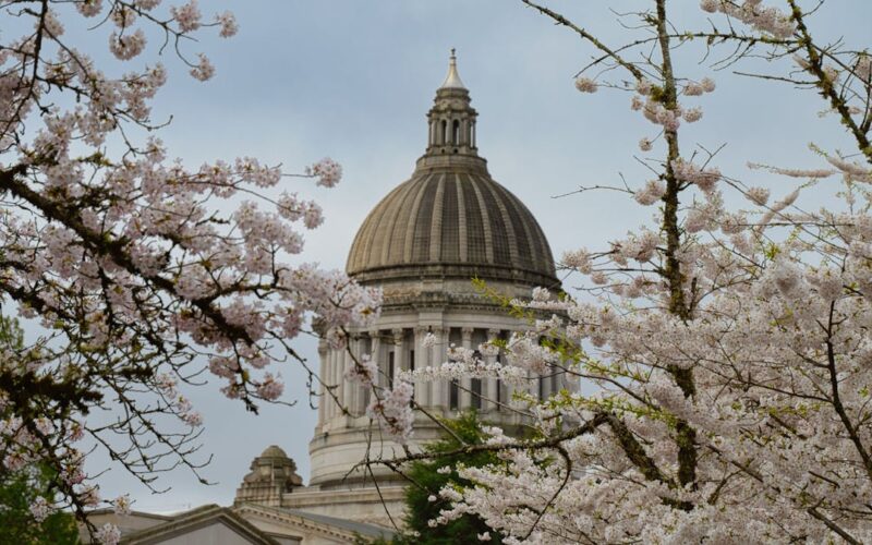 Corrupción y su efecto en la sociedad